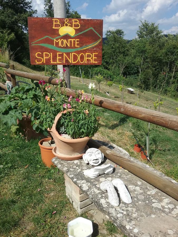 B&B Monte Splendore Pietralunga  Buitenkant foto
