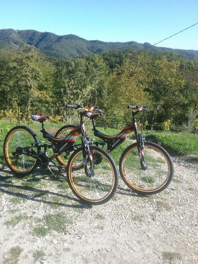 B&B Monte Splendore Pietralunga  Buitenkant foto